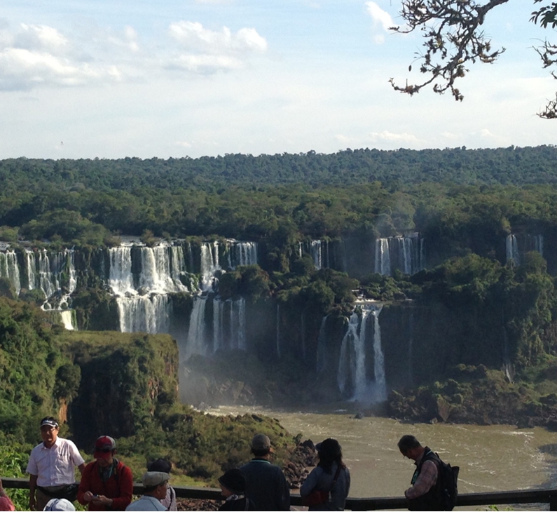 Kliknij by powiększyć Kliknij by powiększyć